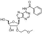 N6-苯甲?；?2'-O-(2-甲氧基乙基)腺苷